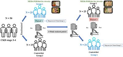 Safety and impact of the Mediterranean diet in patients with chronic kidney disease: a pilot randomized crossover trial